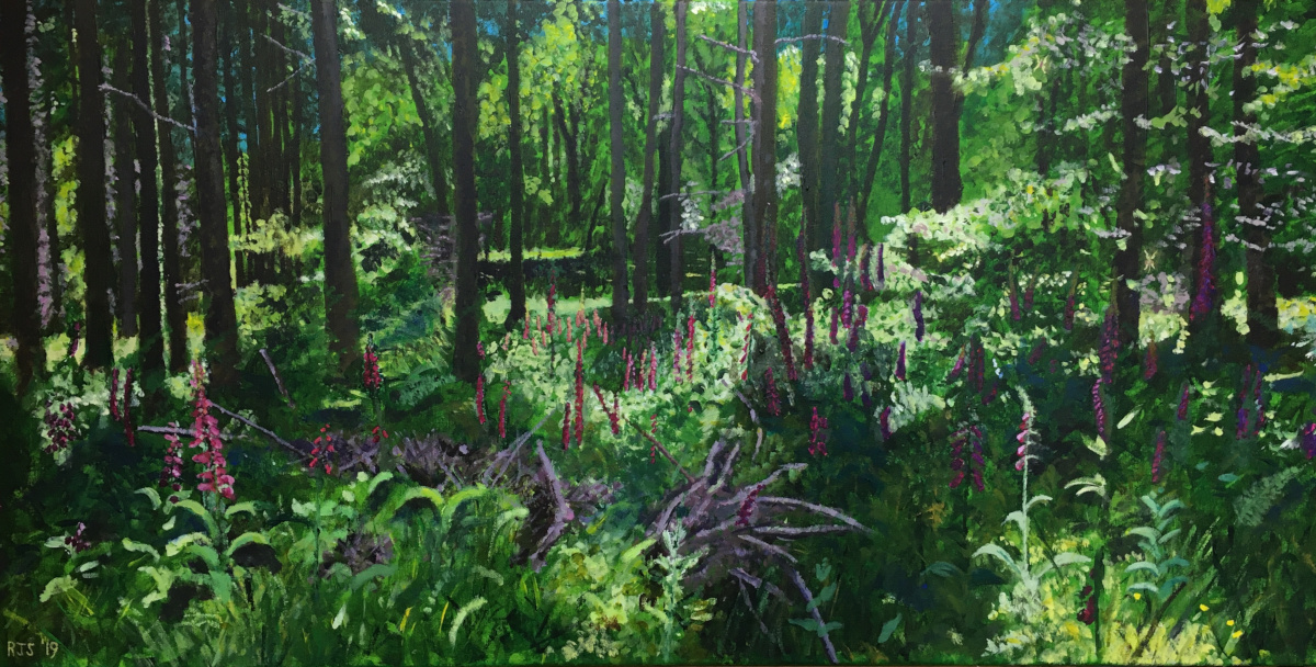 Painting of Foxgloves on the Doward